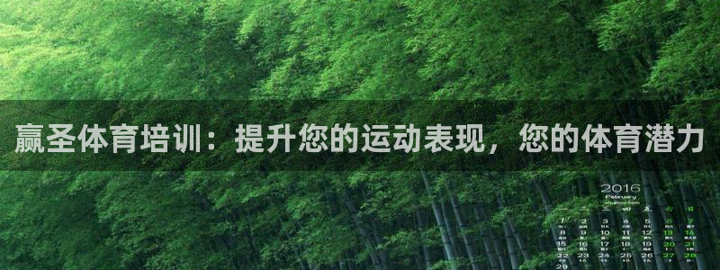 富联官方网站首页入口：赢圣体育培训：提升您的运动表现