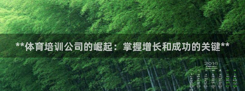 富联平台登录网址是什么：**体育培训公司的崛起：掌握